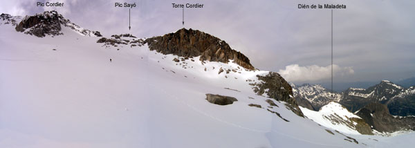 Cara E de la Torre Cordier